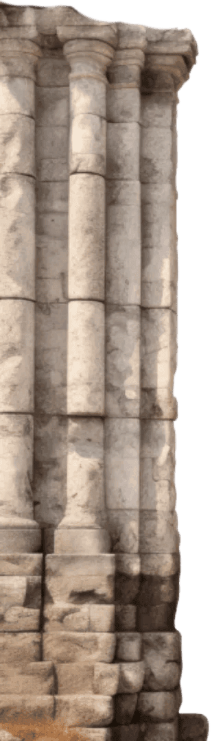 Regal-White-Majesty-OR-19